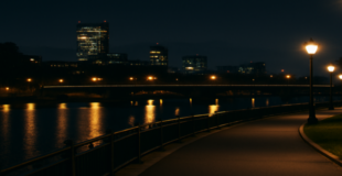 City Lights Walk